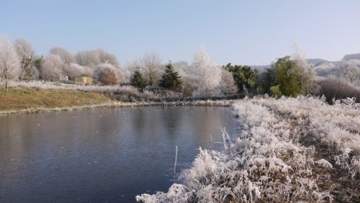 winter op lotussy